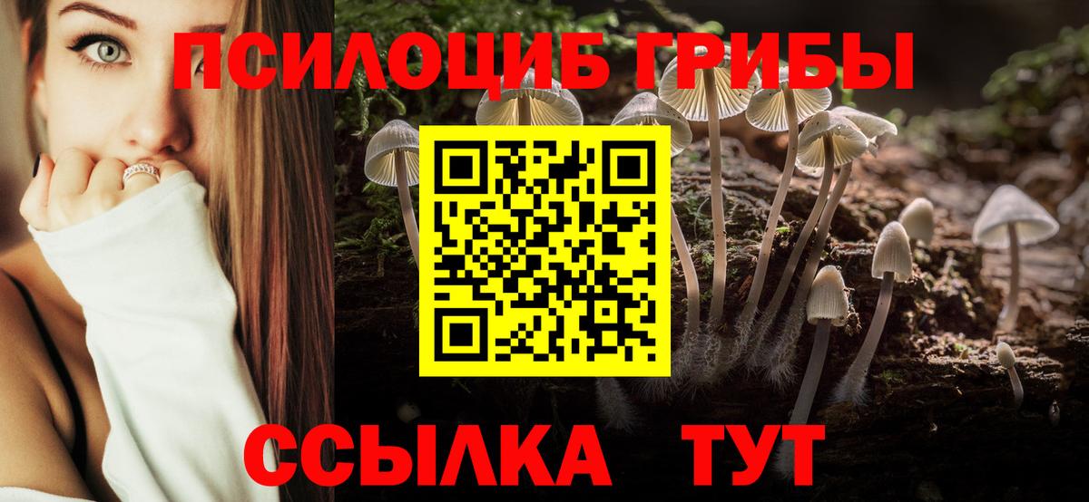Галлюциногенные грибы прущие грибы Реутов