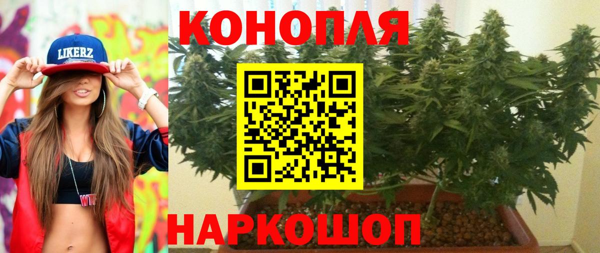 Бошки Шишки индика Реутов